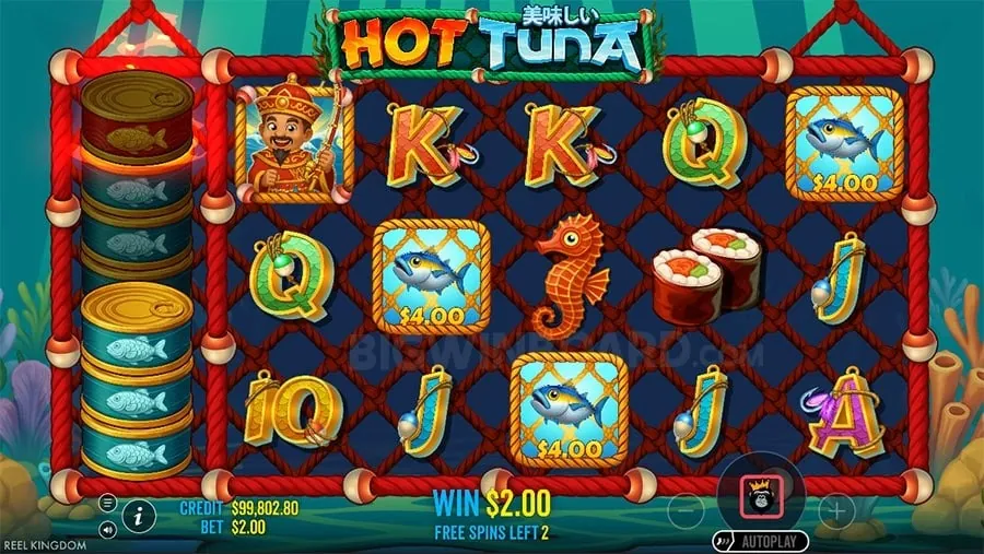 Enhance Your Live Casino Experience
