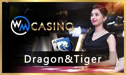 PHTAYA Casino Games
